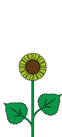 Flor animada
